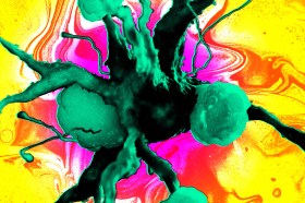 Administering an amino acid used to treat high blood pressure also appears to reverse signs of dementia in mice.